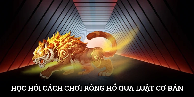 Học hỏi cách chơi Rồng Hổ qua luật cơ bản
